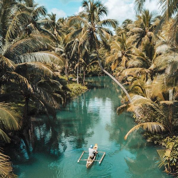 Bali Wellness Retreat 6-Day